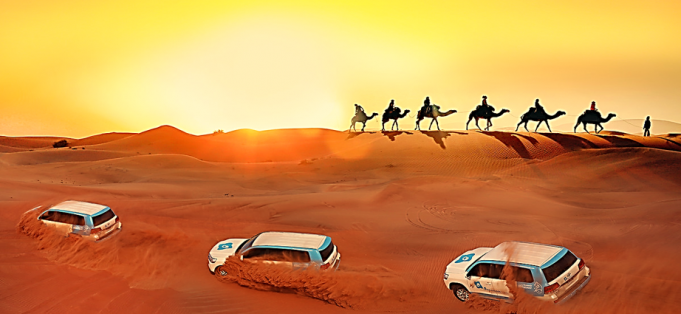 Desert Safari