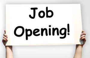 Job Opening-Ride Technician