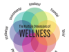 Dimensions of wellness: Change your habits, change your life
