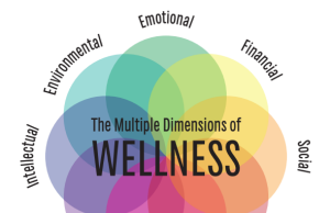 Dimensions of wellness: Change your habits, change your life