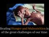 Let’s Join Hands Together To Reduce World Hunger
