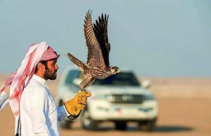 Al Galayel Championship