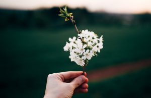Appreciate Simple Things to Make This Your Best Year Yet