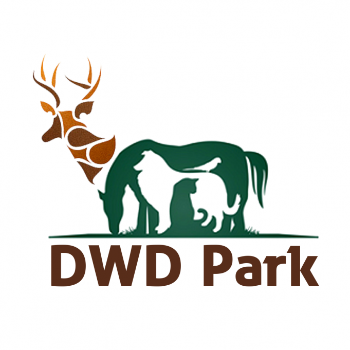 DWD Park- Wildlife Safari Park in Qatar