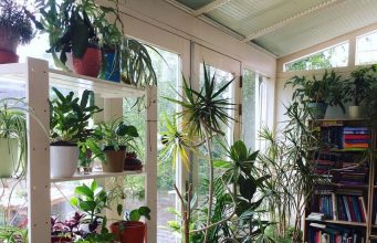 Where to order Plants Online in Qatar??