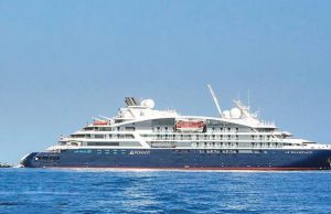 “Whale Sharks Of Qatar” Expedition Cruise by Discover Qatar