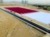 Largest flag draped