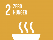 Goal 2: Zero Hunger
