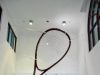 Largest Squash Racket