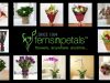 Ferns N Petals -Flower and gifting firm setting their foots in Qatar