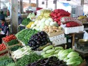 How to rent Wholesale Market Facilities (Doha Municipality) in Qatar?