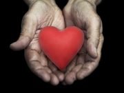 Be Open to Love even if Life knocks you Down