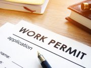 How to track previous and new work permit applications of employees through MADLSA in Qatar ??