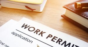 How to track previous and new work permit applications of employees through MADLSA in Qatar ??