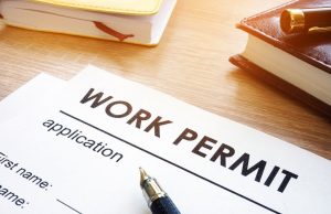 How to track previous and new work permit applications of employees through MADLSA in Qatar ??