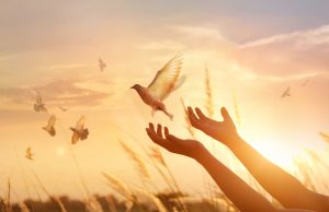 Forgiveness Isn’t Weakness